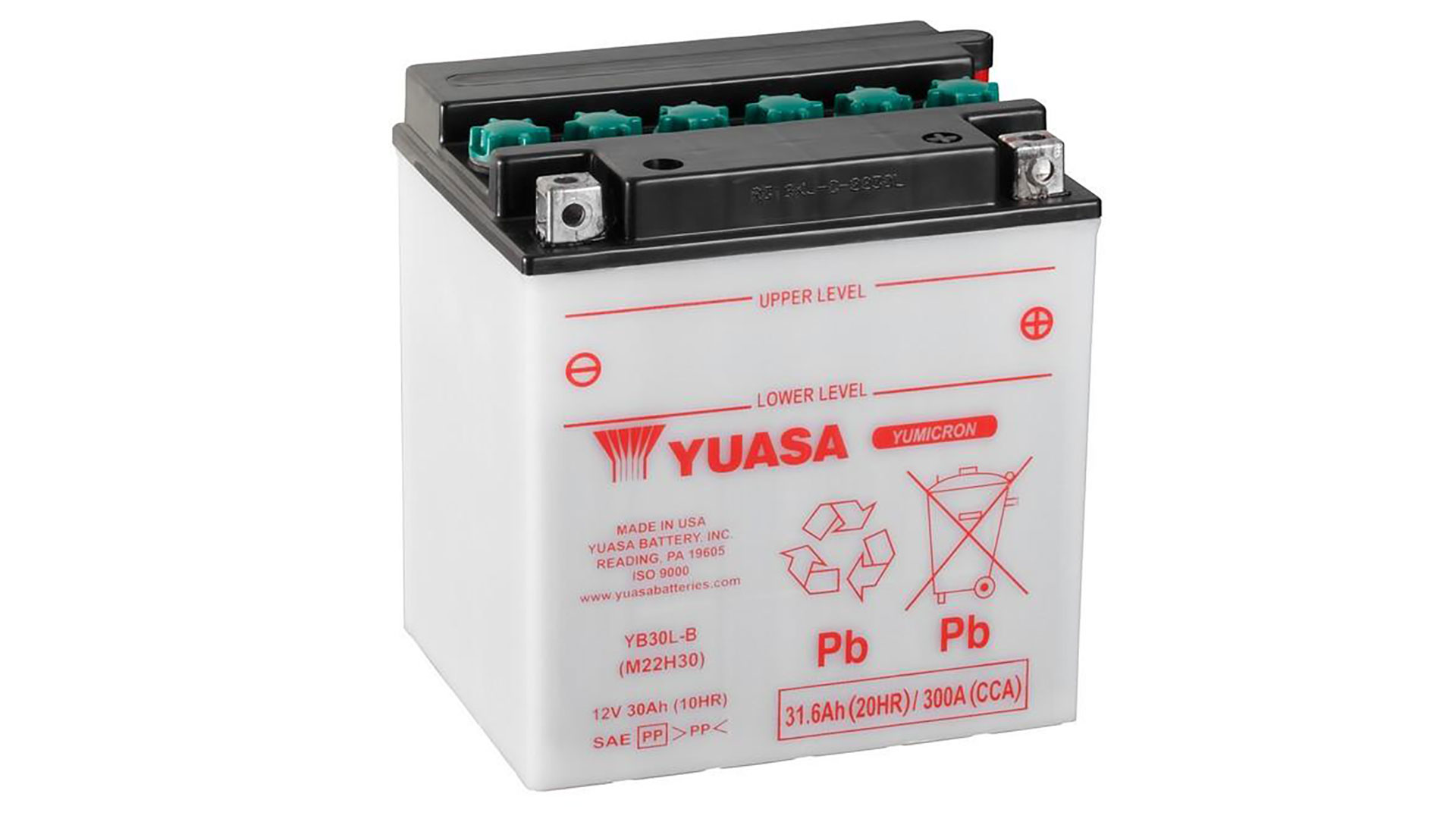  YB30L-B (DC) 12V Yuasa YuMicron Battery 