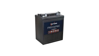 GY-DCB8125-8(DT) GS Yuasa Pro-Spec Battery
